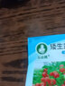 六倍利種孑七彩盆栽四季開花易種活花種子籽室內(nèi)花卉植物 （原裝彩椒50粒+肥） 曬單實拍圖