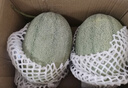 京鮮生 天山一號 黃金哈密瓜 1粒裝 單果3斤起 生鮮水果 曬單實(shí)拍圖