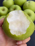 海南香水檸檬新鮮一級果應當季水果廣東無(wú)籽青檸檬奶茶店專(zhuān)用 1斤小果(單果60g+) 曬單實(shí)拍圖