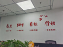 茂語(yǔ) 企業(yè)文化墻定制形象墻展示墻宣傳墻設(shè)計(jì)公司文化背景墻裝飾3d立體 0057-亞克力字（單層） 曬單實(shí)拍圖