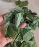 胖東來(lái)品質(zhì)甘肅隴南淫羊藿葉中藥材新貨正宗淫羊藿葉干貨三枝九葉 精選淫羊藿葉20克 曬單實(shí)拍圖