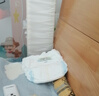 爹地寶貝拉拉褲奇奇獸嬰兒尿不濕一體褲XXL76(15KG+)【品牌直供 安心品質(zhì)】全包臀超柔泡泡腰細膩無痕小內(nèi)褲 曬單實拍圖