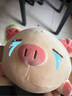 可愛(ài)趴趴小豬毛絨玩具招財豬玩偶娃娃睡覺(jué)抱枕生日七夕禮物送女生 瞇眼-趴趴豬【特級親膚牛奶絨】 50厘米【中號】10%送禮選擇 曬單實(shí)拍圖