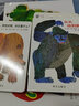 棕色的熊棕色的熊你在看什么+好忙的蜘蛛精裝等(共5冊) [美]艾瑞·卡爾 曬單實(shí)拍圖