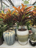 維達（Vinda）有芯卷紙【孫穎莎推薦】棉韌4層140節*30卷 親膚無(wú)刺激衛生紙整箱 曬單實(shí)拍圖