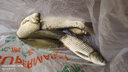 YNKOO包膠咬鉛夾鉛微鉛開口鉛不傷線路亞磯釣筏釣配件釣魚鉛墜漁具用品 小克重混搭（G1-G2-B-2B）共80枚 無規(guī)格 曬單實拍圖