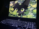 聯(lián)想拯救者R9000P 2025 AI元啟游戲筆記本電腦(銳龍9 8945HX 32G1T RTX5060 2.5K240Hz 黑)國家補貼20% 曬單實(shí)拍圖