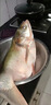 BAISHA FISH BS白鯊底層魚(yú)方塊餌海竿浮釣鰱鳙餌料反底釣鯉草青蟲(chóng)腥臭高蛋白配方 蠶蛹肝腥*1包 曬單實(shí)拍圖