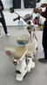 臺鈴電動(dòng)車(chē)【門(mén)店自提】獵豹電動(dòng)自行車(chē)新國標可上牌電瓶車(chē)長(cháng)續航成人代步 請到店選購顏色 曬單實(shí)拍圖