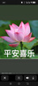 完達山（wondersun）新元乳臻益 較大嬰兒配方奶粉2段 牛奶粉二段奶粉818g(6-12個(gè)月) 2段818g*6罐/箱 曬單實(shí)拍圖