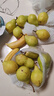 沙甜果緣山東煙臺萊陽(yáng)太婆梨新鮮現摘產(chǎn)地直發(fā)老婆梨軟糯香甜鴨梨葫蘆梨 大果(150g+)凈重4.5斤 【放軟】后食用 曬單實(shí)拍圖