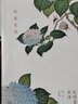 【官方正版】美得讓人窒息的唐詩宋詞詩經(jīng)古詩詞書全套3冊(cè)許淵沖（中英雙語詩畫集）林深見鹿美得窒息的唐詩+燕燕于飛詩經(jīng)+紙短情長宋詞英漢對(duì)照套裝現(xiàn)當(dāng)代文學(xué)書籍 甄選圖書 【全3冊(cè)】美得讓人窒息的唐詩+宋詞 曬單實(shí)拍圖