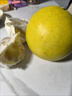 京鮮生 福建文旦柚 柚子 2粒裝 凈重2.4斤起 生鮮水果禮盒 曬單實(shí)拍圖