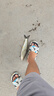 光威2號伊勢尼20付魚鉤一盒綁好的子線雙鉤成品套裝鉤子釣魚漁具配件 曬單實(shí)拍圖