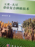 玉米-大豆帶狀復(fù)合種植技術(shù) 曬單實(shí)拍圖