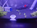 萌嘟星寵亞馬遜水草泥強肥力營(yíng)養土魚(yú)缸水族箱造景底沙水草種植泥砂 5斤裝 曬單實(shí)拍圖