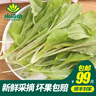 小湯山 小白菜苗 約150g  新鮮蔬菜當天采摘北京農場(chǎng)順豐到家 曬單實(shí)拍圖