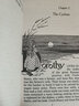 英文The Wonderful Wizard of Oz 綠野仙蹤 經(jīng)典英文童書 曬單實(shí)拍圖