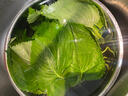 千牛優(yōu)福新鮮蘇子葉100g-250g 東北紫蘇葉大蘇子葉韓國烤肉包飯泡菜 100g 曬單實(shí)拍圖