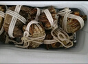 【活蟹】乾澄大閘蟹現貨 特大全母蟹4.0-4.3兩 10只鮮活螃蟹河蟹水產(chǎn)海鮮禮盒裝 曬單實(shí)拍圖