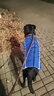 SLPC狗狗衣服金毛大型犬冬季保暖棉衣邊牧哈士奇柯基中型犬秋冬衣服 藍色 6XL建議（60-80斤） 曬單實(shí)拍圖