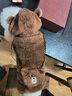 阿莫爾貓咪衣服加厚秋冬裝保暖棉衣泰迪比熊雪納瑞小型犬狗狗寵物四腳衣 咖色變身裝 L(建議8-10斤具體參考胸圍背長(cháng)) 曬單實(shí)拍圖
