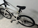 喜德盛（xds）xds ad300喜德盛ad300 25款山地車喜德盛公路車公路自行車喜德盛 2025款|白蛇 700Cx510mm|身高175-185cm 曬單實(shí)拍圖