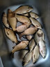 漁之源魚護(hù)野釣專用方形魚護(hù)釣魚網(wǎng)兜加厚速干魚護(hù)漁護(hù)新款小魚護(hù)去野 31cm 3m 【反光防跳 專利地插】含包 曬單實拍圖