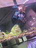 淘歌（TG）魚(yú)缸造浪泵 強力磁鐵吸附 打浪泵家用 造流吹魚(yú)糞循環(huán)推水機 曬單實(shí)拍圖