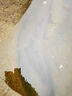 釣魚(yú)小藥豬母奶小藥秋冬野釣黑坑誘魚(yú)粉鯽鯉草鳊黑鰱鳙羅非魚(yú)通殺 一瓶裝【魚(yú)兒瘋搶】 曬單實(shí)拍圖