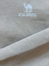 駱駝（CAMEL）長(cháng)袖圓領(lǐng)套頭衛衣男寬松休閑運動(dòng)打底衫 J13CAYL6063 湖茶綠 XXL 曬單實(shí)拍圖