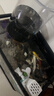 金魚(yú)活體觀(guān)賞魚(yú)錦鯉草金魚(yú)冷水魚(yú)黑金錦鯉黃金錦鯉白金錦鯉小型魚(yú) 6-8cm黑+白+黃+紅+花【共5條】 曬單實(shí)拍圖