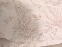 都市麗人女士睡衣女100%純棉長(cháng)袖長(cháng)褲寬松舒適秋季家居服可外穿 粉色 L 曬單實(shí)拍圖
