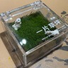 迷你草坪苔蘚盒子配小兔辦公室桌面微景觀(guān)好養創(chuàng  )意禮物生態(tài)盒 苔蘚盒小號6*6*3 配噴壺+小兔 曬單實(shí)拍圖