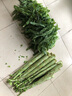 諸氏橙品【有機】萵筍 云南紫葉新鮮青筍萵苣 現(xiàn)挖現(xiàn)發(fā)當季時令蔬菜整箱 【精選有機萵筍】 6斤家庭實惠 曬單實拍圖