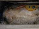 鮮漁翁 三去鱸魚開背海鱸魚500g大魚去鱗去鰓去內(nèi)臟5條裝2500g深海魚 開背鱸魚 500g 3條 曬單實(shí)拍圖