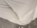 坦博爾【店鋪熱賣】高級(jí)感連帽羽絨服女中長款加厚保暖外套TBF530780J 知春米 155/80A 曬單實(shí)拍圖