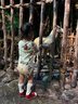 迷你巴拉【保暖抑菌】男女童長(cháng)褲加絨褲子冬新款 淺卡其50311 【蓄熱一體絨】 90 曬單實(shí)拍圖