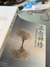 【官方正版】正念禪修 英 馬克 威廉姆斯 美 丹尼 彭曼 在喧囂的世界中獲取安寧 正念減壓療法書(shū)籍哲學(xué)入門(mén)初學(xué)者 九州出版社書(shū)籍 正版 曬單實(shí)拍圖