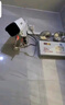 HIKVISION?？低暠O(jiān)控?cái)z像頭POE網(wǎng)絡(luò)高清手機(jī)遠(yuǎn)程室內(nèi)戶外全彩防水監(jiān)控器 400萬全彩錄音1245-LA（POE） 鏡頭焦距4mm 曬單實(shí)拍圖
