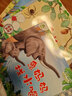 認(rèn)花卉 童眼觀世界 0-3-6-9歲幼兒兒童看圖識(shí)物書籍啟蒙益智早教書兒童看圖識(shí)物認(rèn)知百科書 曬單實(shí)拍圖