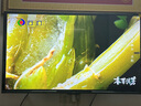 酷開創(chuàng)維 P31系列 50英寸電視 全高清 超薄全面屏 節(jié)能護(hù)眼智能平板游戲液晶電視機(jī)以舊換新50P31 曬單實(shí)拍圖