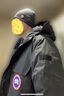 加拿大鵝（Canada Goose）男女同款標準托克帽 5116M 699 鐵灰色 均碼 曬單實(shí)拍圖