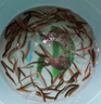 活泥鰍 戶(hù)外垂釣釣魚(yú)專(zhuān)用餌料飼料魚(yú)本地金鰍鮮活淡水烏龜龍魚(yú)飼料活體泥鰍批發(fā) 5-9厘米泥鰍100條 曬單實(shí)拍圖