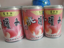 蒿子溝吉林特產(chǎn)東北集安白桃水果罐頭食品禮盒整箱桃汁雜果罐頭休閑零食 白桃罐頭410g*6罐（送禮盒） 曬單實(shí)拍圖