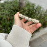 贈意真海南星月菩提手串正品原生態(tài)月朗星稀雕刻無(wú)相高密度單圈文玩男 【原生態(tài)糯白】星月無(wú)相10mm 曬單實(shí)拍圖