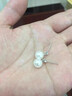 DOLPs999足銀天然淡水珍珠耳釘女純銀港風(fēng)復古耳墜耳環(huán)養耳洞中古耳飾 s999足銀白金色珍珠耳釘【一對】 曬單實(shí)拍圖