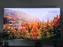 TCL電視 75Q10L Pro 75英寸 極景QD-MiniLED 蝶翼華曜屏 萬(wàn)象分區 絢彩XDR 6500nits 國家補貼 低反屏 75英寸 曬單實(shí)拍圖