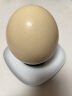 莲山九鲜新鲜鸵鸟蛋可食用美食大号鸵鸟蛋不可孵化节日中秋礼品蛋壳可雕刻 1枚 2.2斤 -2.5斤 实拍图