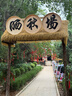 蕉下（beneunder）防曬冰袖男冰絲袖套男護袖男開(kāi)車(chē)騎車(chē)防曬手臂夏季防紫外線(xiàn)高山灰 曬單實(shí)拍圖